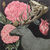 Herbarium I Herbarium I