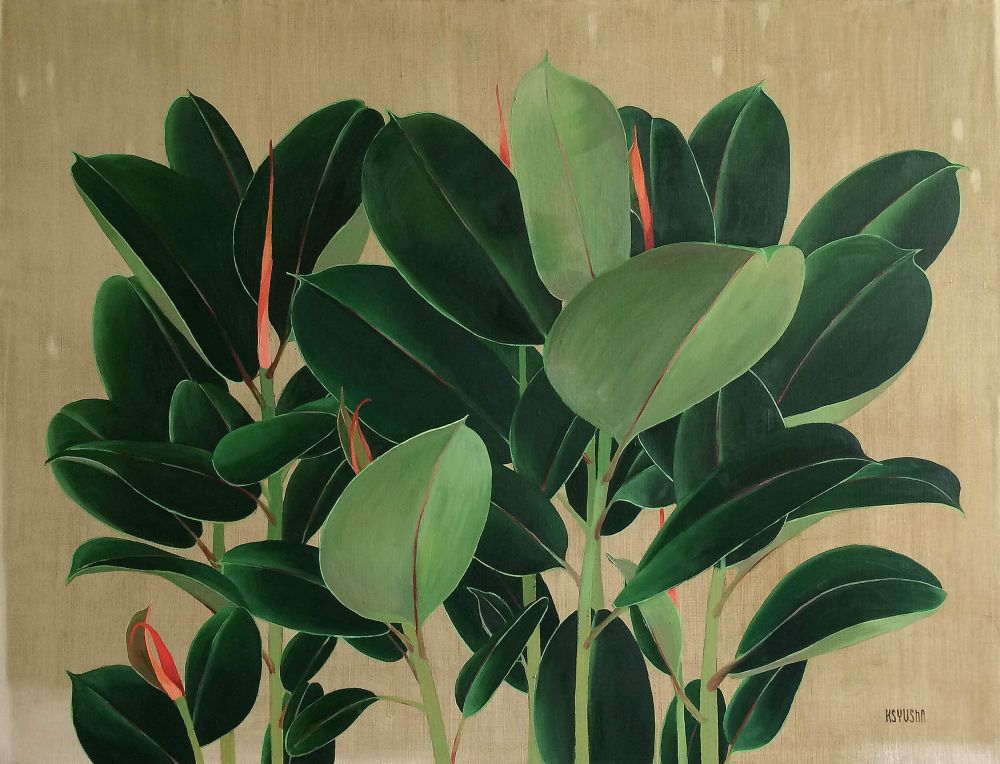 Ficus Ficus